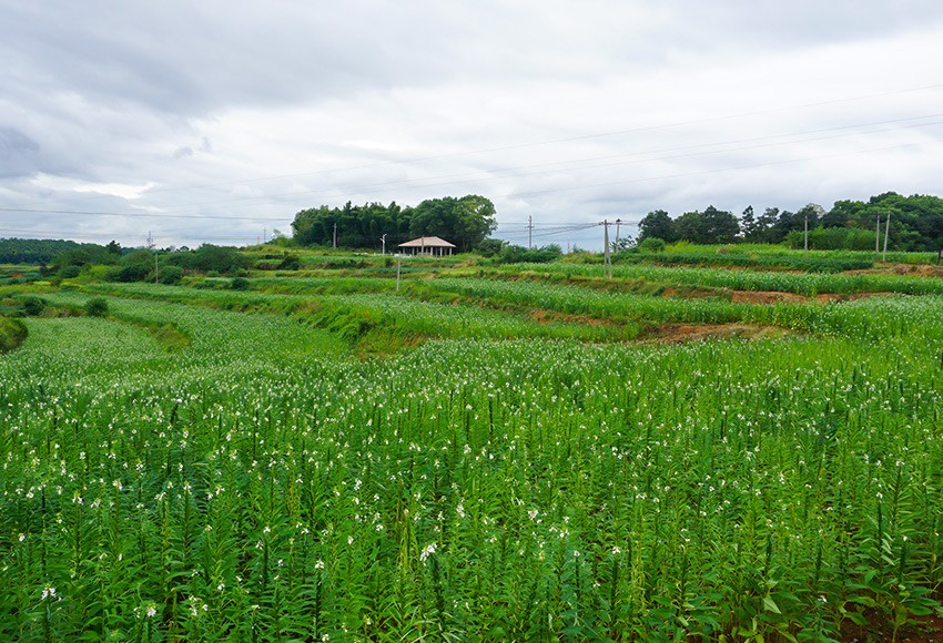 基地風采