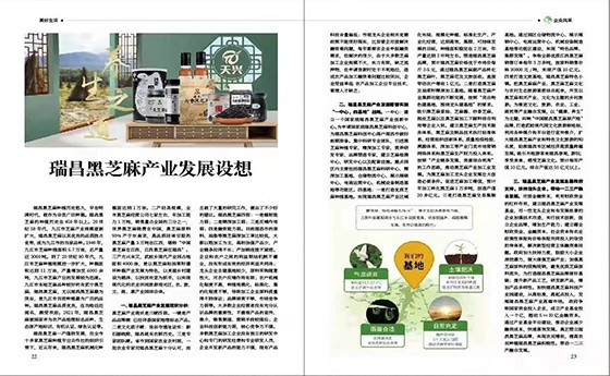 瑞昌黑芝麻產(chǎn)業(yè)發(fā)展設想