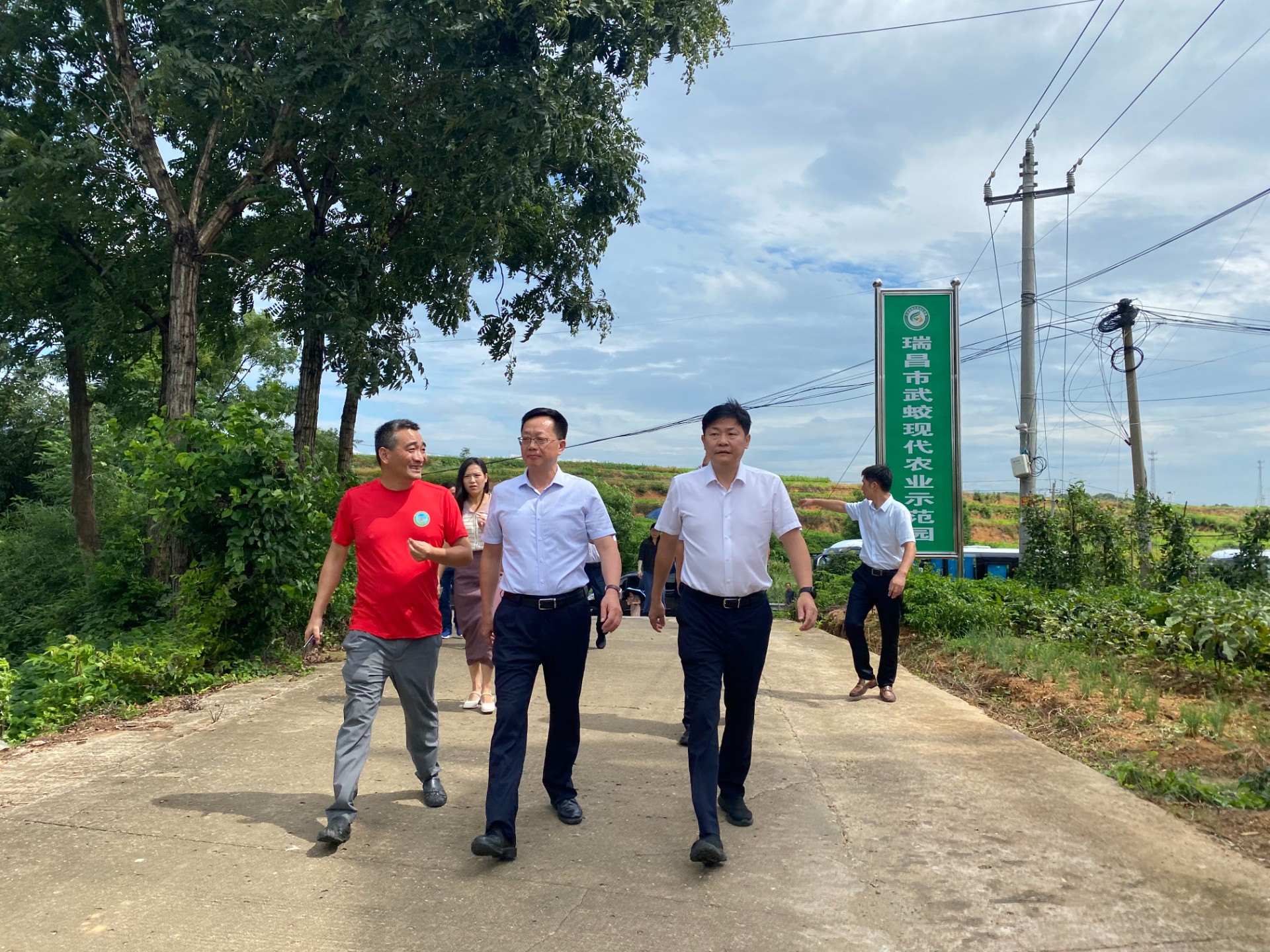 省農(nóng)業(yè)農(nóng)村廳吳國(guó)昌副廳長(zhǎng)、九江市農(nóng)業(yè)農(nóng)村局朱云局長(zhǎng)、瑞昌市農(nóng)業(yè)農(nóng)村局曾憲利局長(zhǎng)、省農(nóng)業(yè)系統(tǒng)領(lǐng)導(dǎo)一行來(lái)農(nóng)業(yè)科技示范展示基地考察